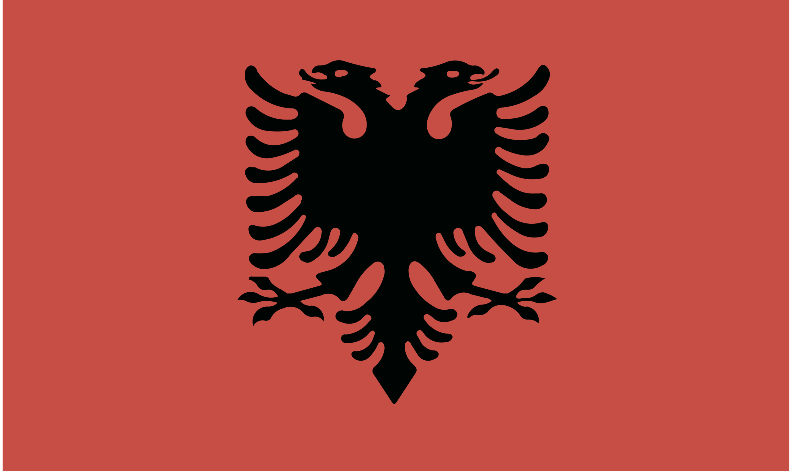 Donkere silhouet van een Albanese vlag met zwart dubbelkoppig adelaar op een rode achtergrond.